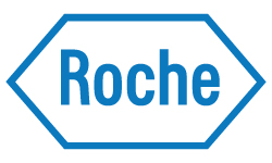 Roche Roche 250B