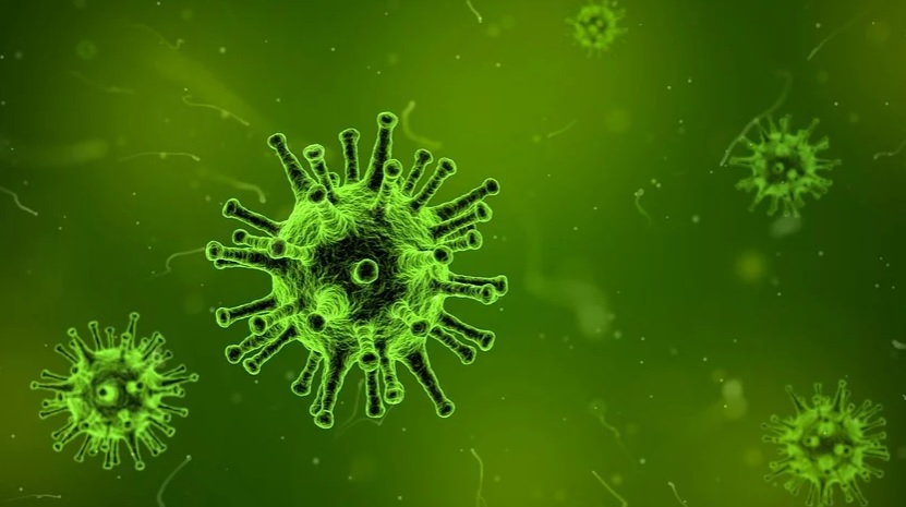 Πέρυσι, ο FDA ενέκρινε το πρώτο θεραπευτικό «νανόσωμα», που ονομάζεται caplacizumab, μια θεραπεία για μια σπάνια και σοβαρή αιματολογική νόσο, την θρομβωτική θρομοβοπενική πορφύρα. Πέρυσι, ο FDA ενέκρινε το πρώτο θεραπευτικό «νανόσωμα», που ονομάζεται caplacizumab, μια θεραπεία για μια σπάνια και σοβαρή αιματολογική νόσο, την θρομβωτική θρομοβοπενική πορφύρα.