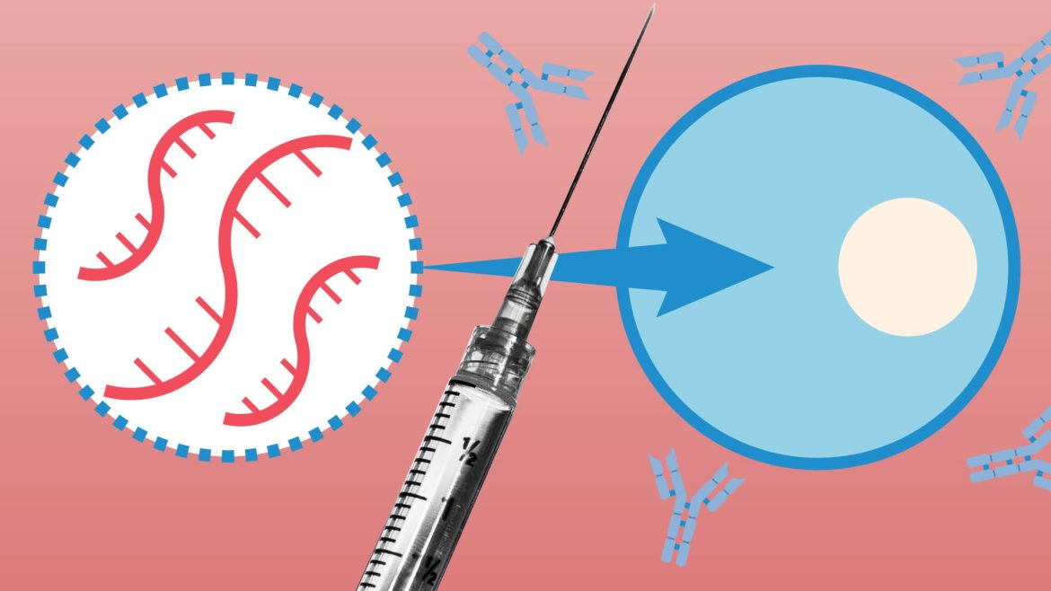 Απαντήσεις Σχετικά με τα Εμβόλια mRNA Κατά της COVID-19.