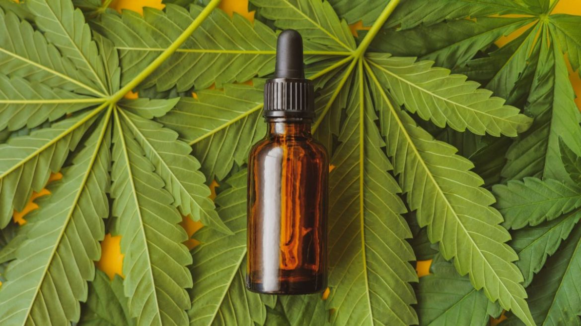 CBD EFSA